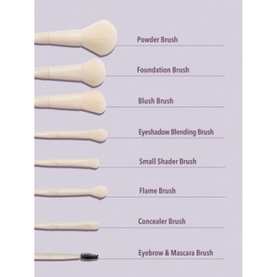 Kit de brochas Pro Core