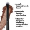 Ten Out of Ten Brush Kit